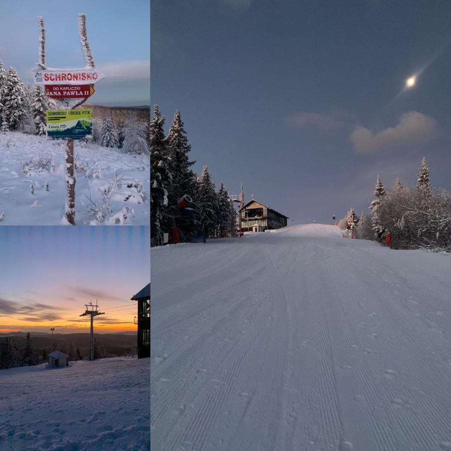 Schronisko Gorskie Pttk Na Jaworzynie Krynickiej กรินีซา ดรอยจ์ ภายนอก รูปภาพ